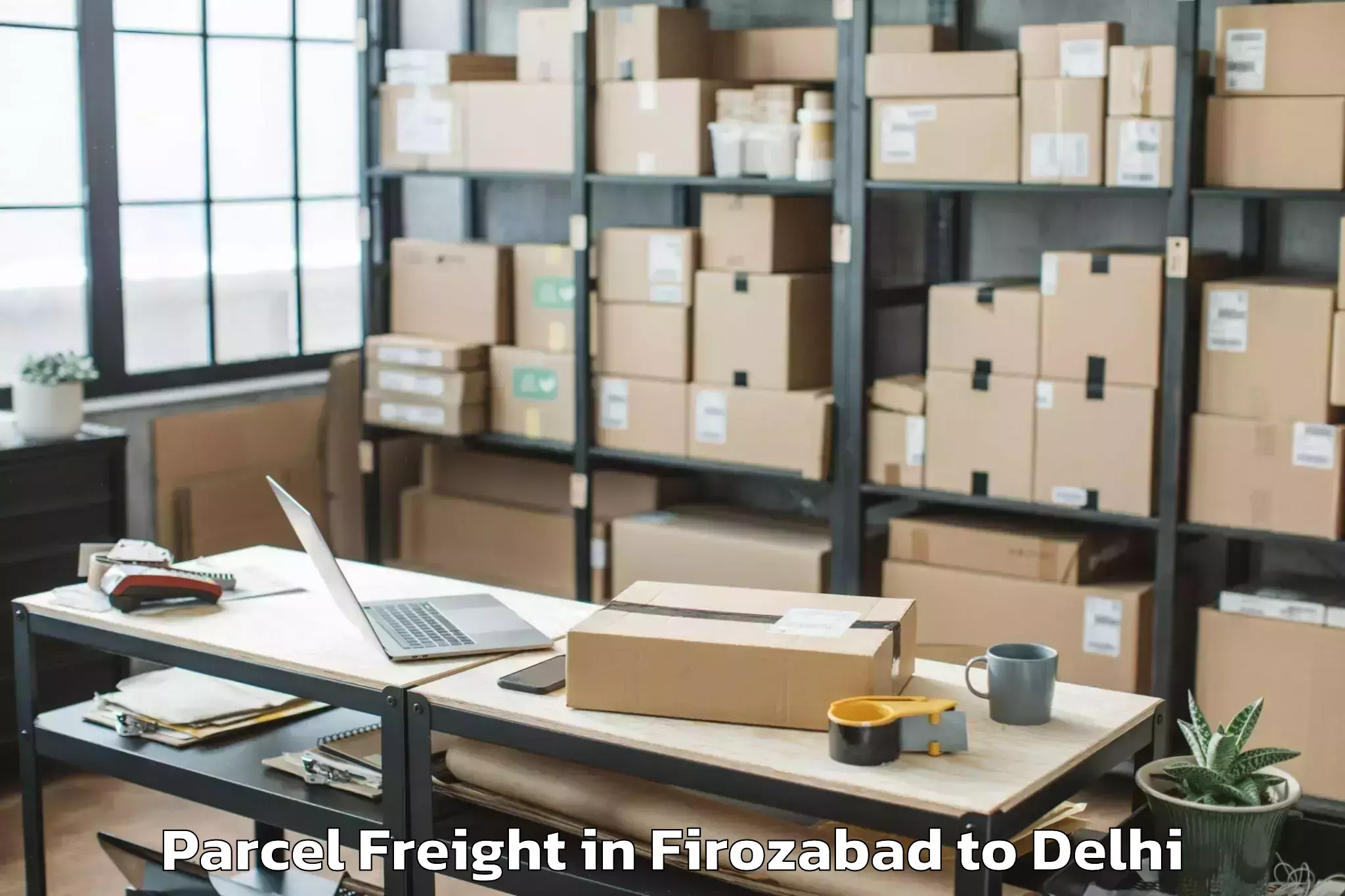 Expert Firozabad to Rohini Parcel Freight